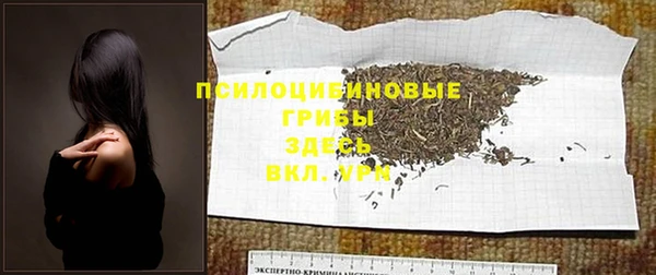 герыч Арсеньев