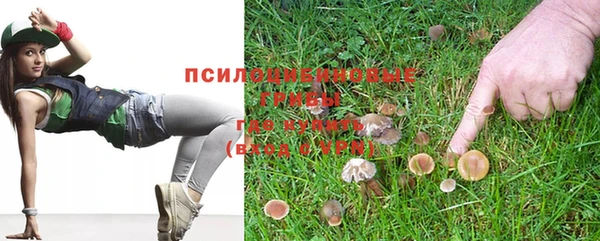 мдпв Армянск