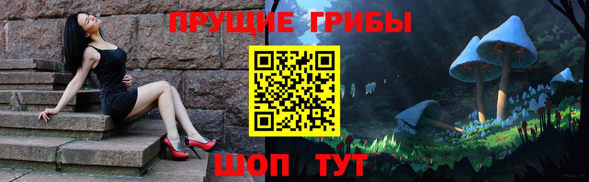Псилоцибиновые грибы GOLDEN TEACHER Саки
